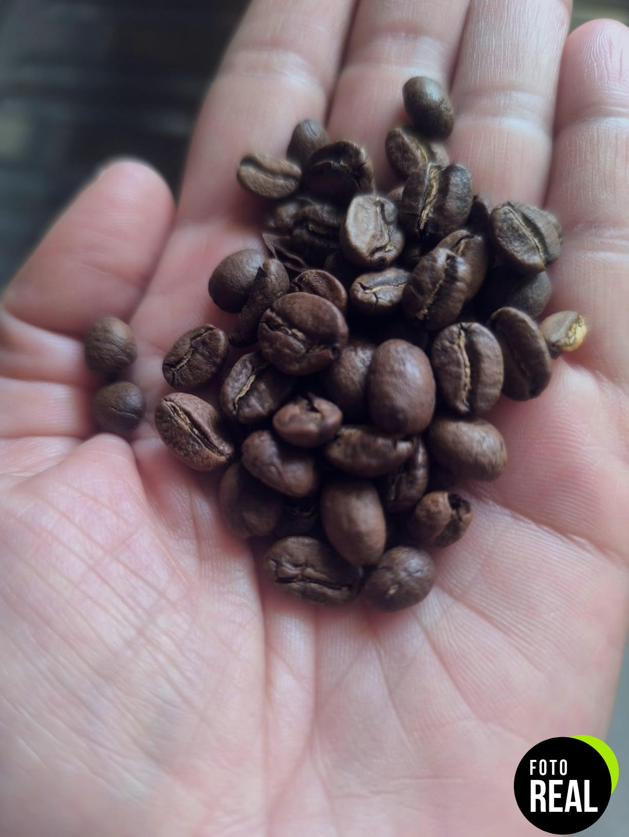 incapto-cafe-especialidad-brasil-1kg-foto-1