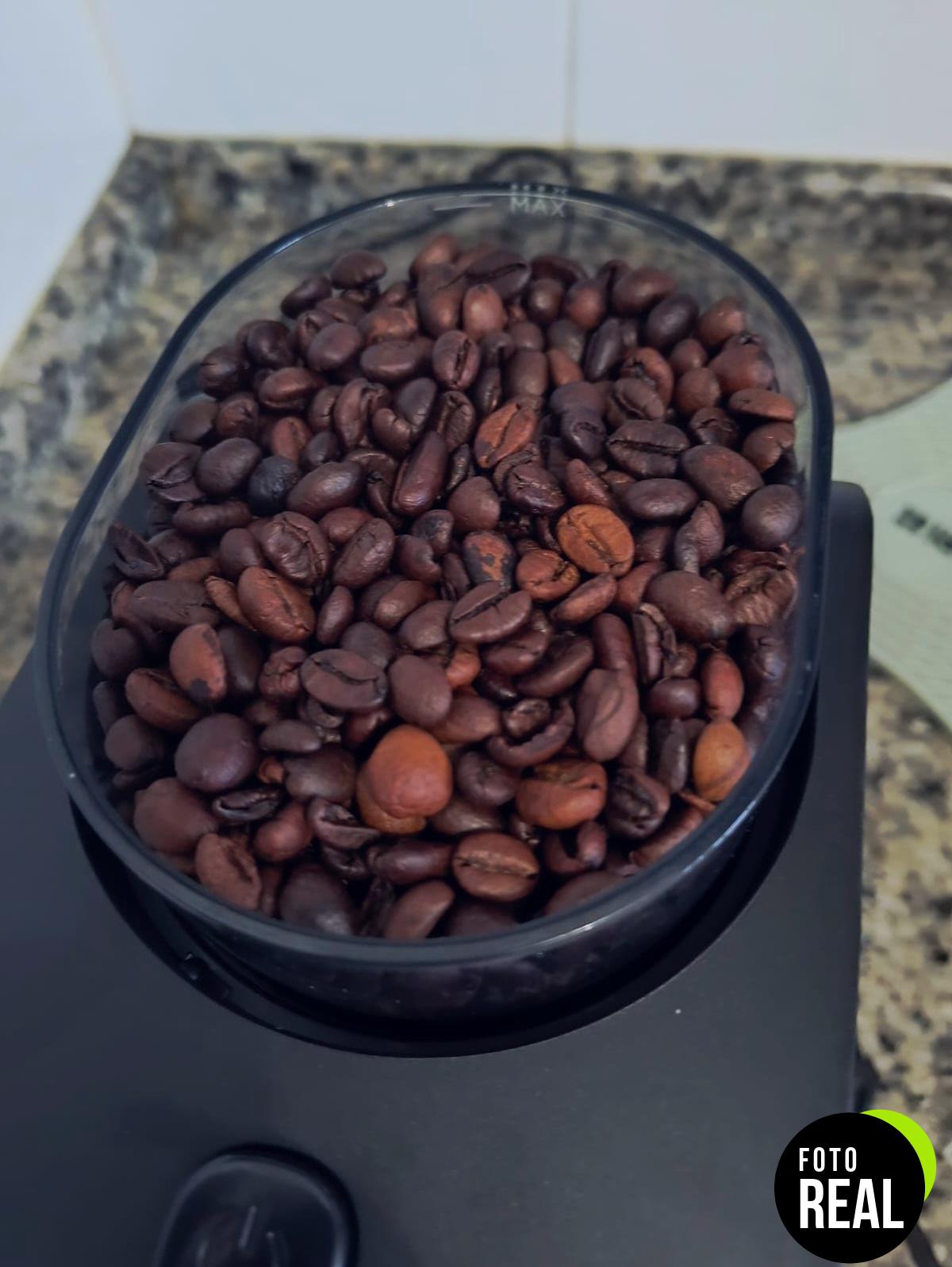 lavazza-cafe-grano-100-arabica-qualita-oro-foto-2